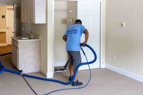 Carpet Cleaning