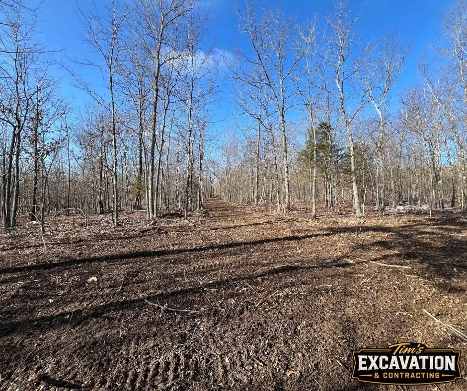 Cleared dirt lot in leafless woodland under blue sky, with an excavation logo in the corner.