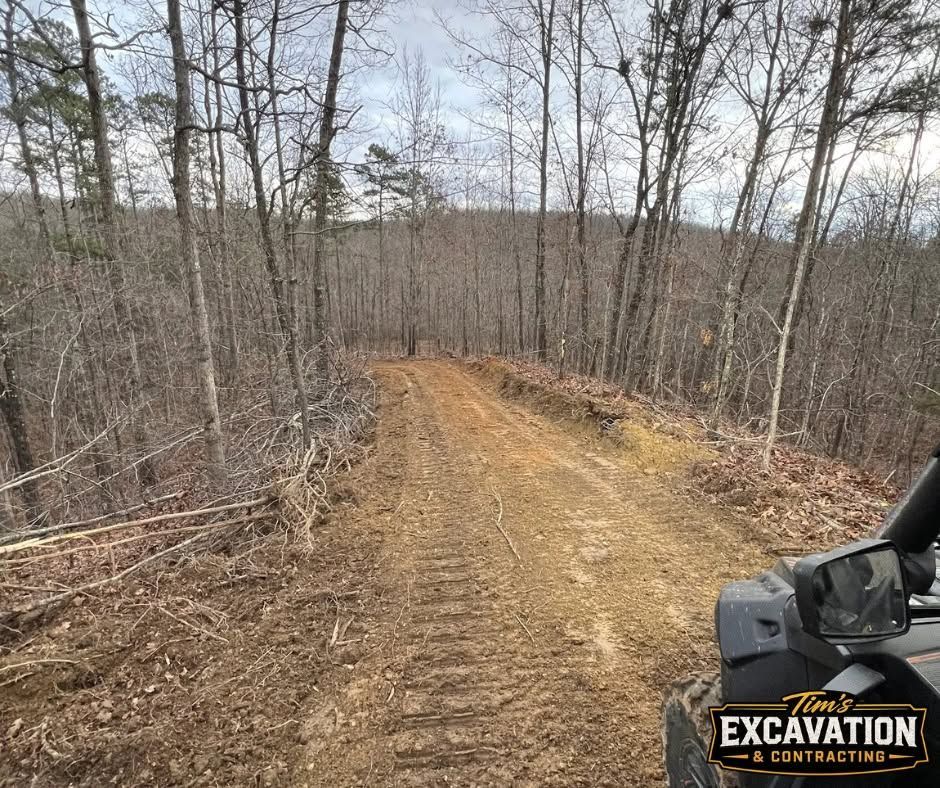 Dirt road descending through leafless woods, viewed from an excavator