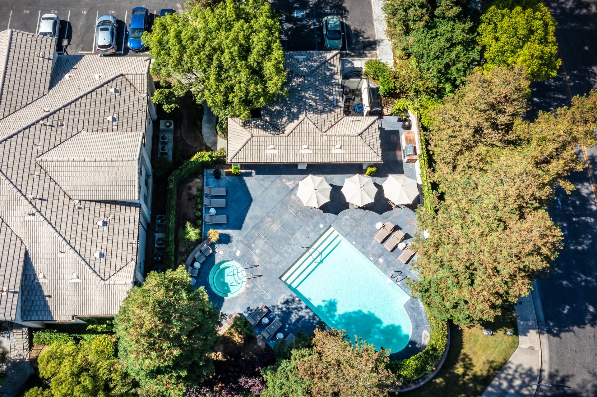 An aerial view of a swimming pool surrounded by trees