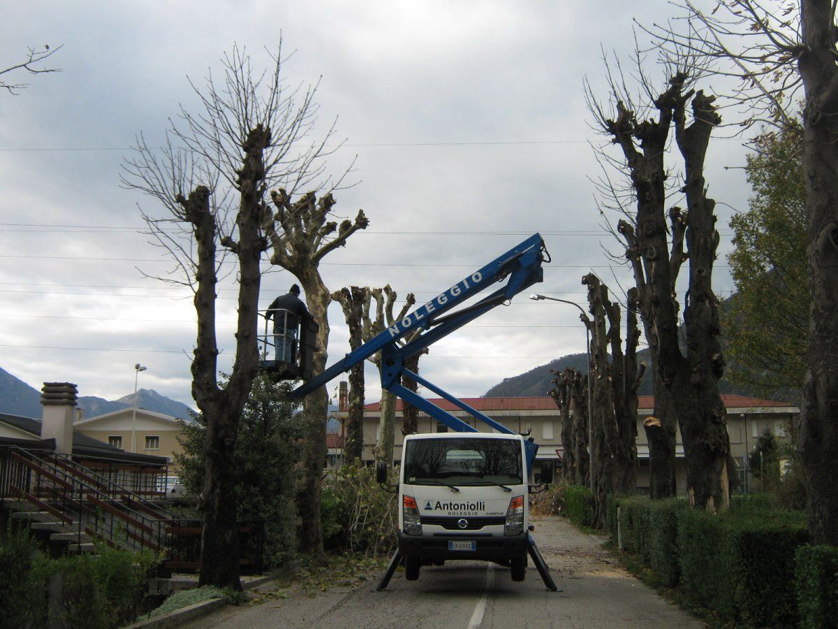 piattaforma aerea a noleggio durante un lavoro