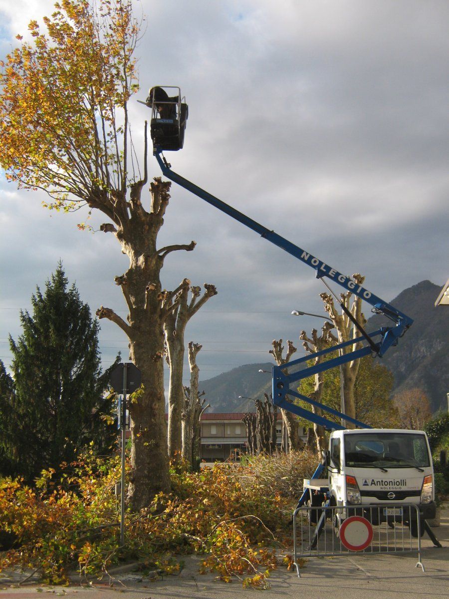 piattaforma aerea a noleggio