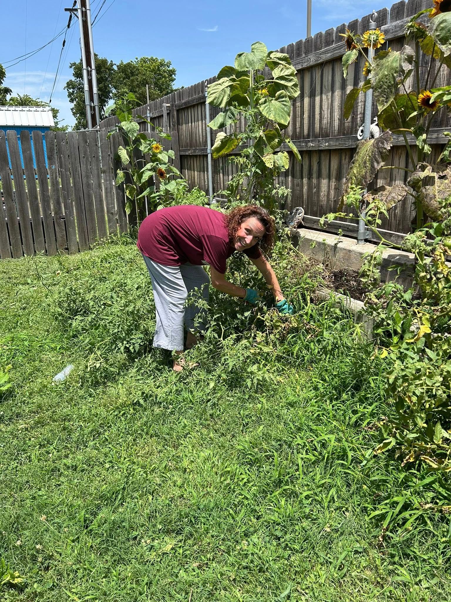 Woman in burgundy shirt weeding overgrown garden with sunflowers.