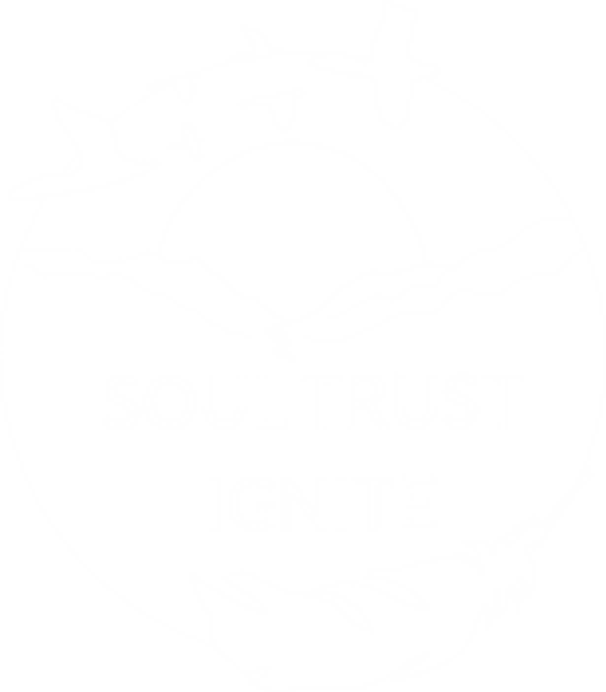 Soul Trust Ignite logo