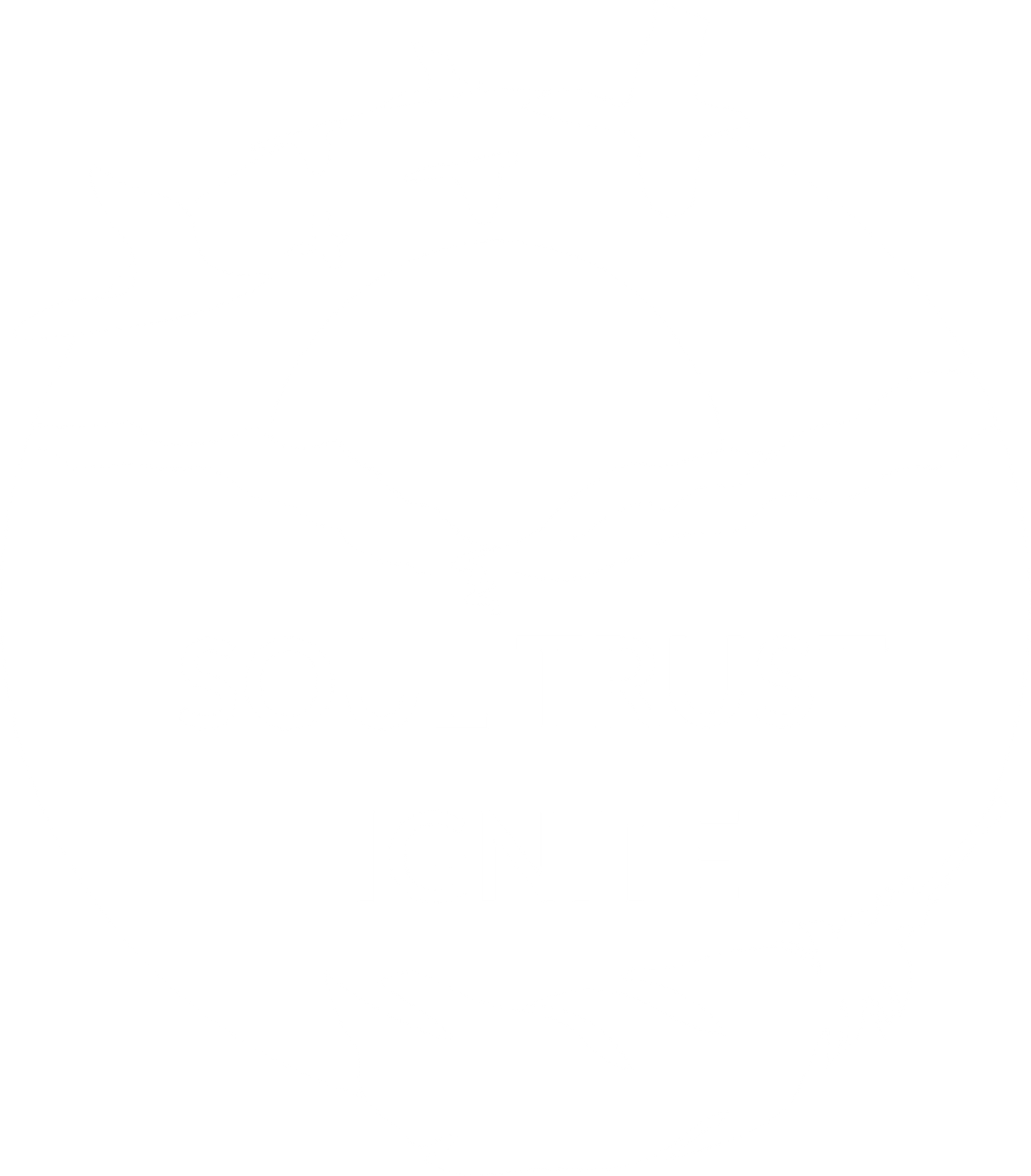 Soul Trust Ignite Logo