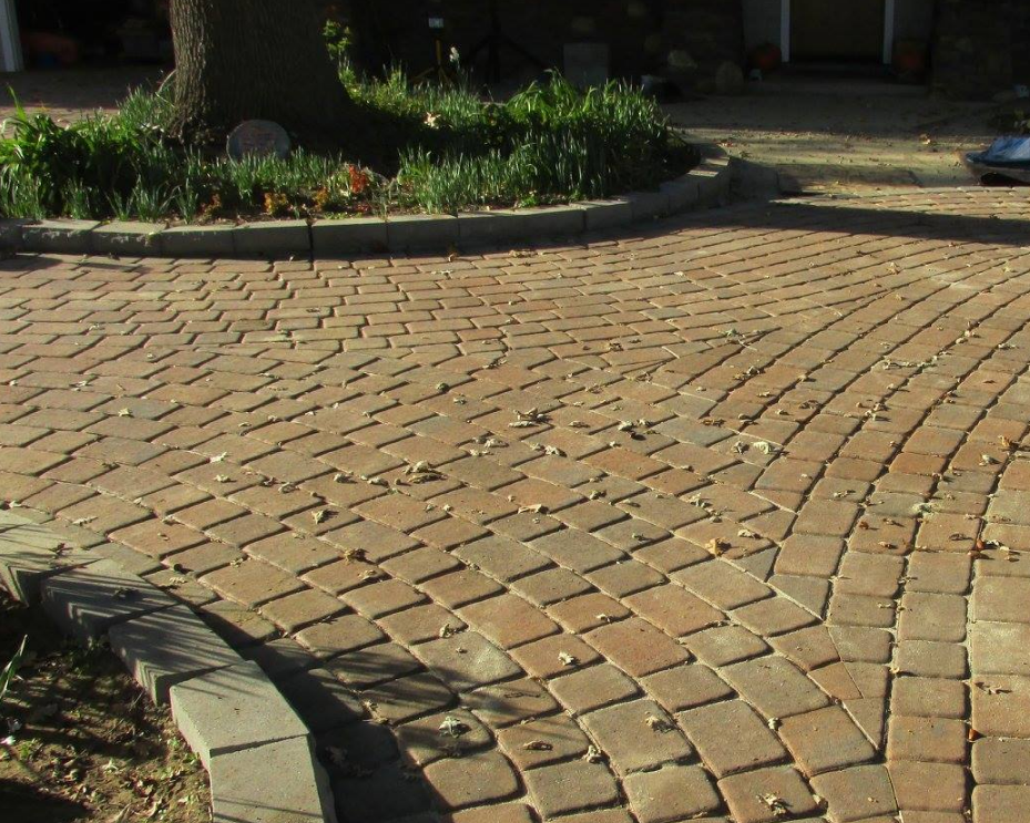 A brick driveway with a tree in the middle