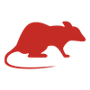 Rats Icon