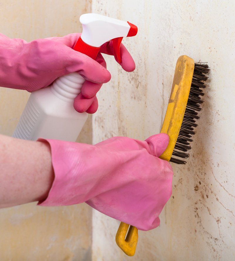 Removing Mold