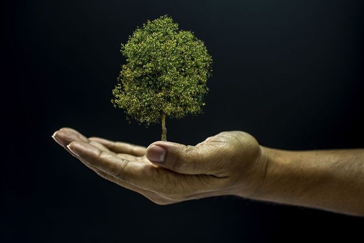 sostenibilità ambientale