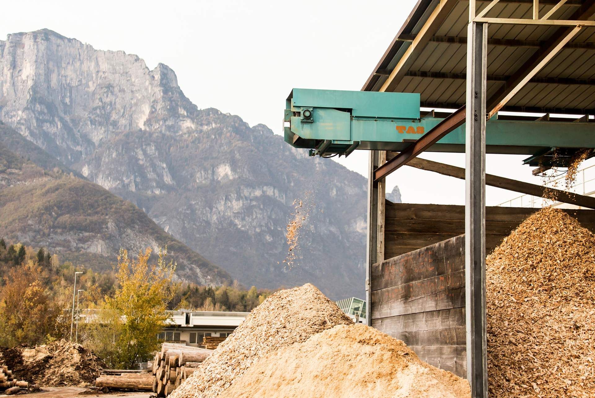 lavorazione del legno