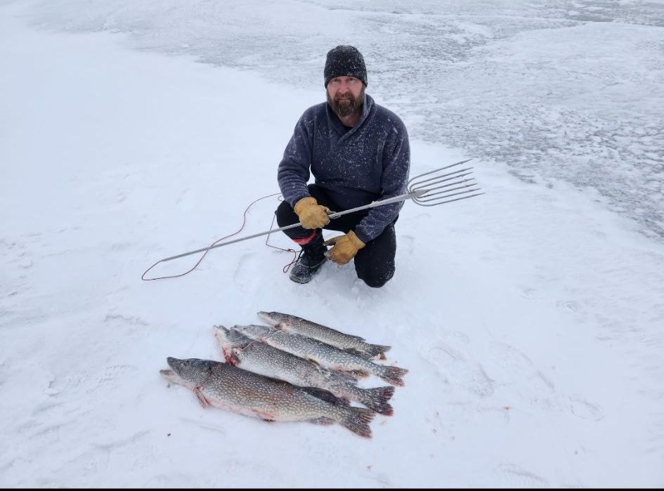 A man is kneeling down in the snow with a bunch of fish.