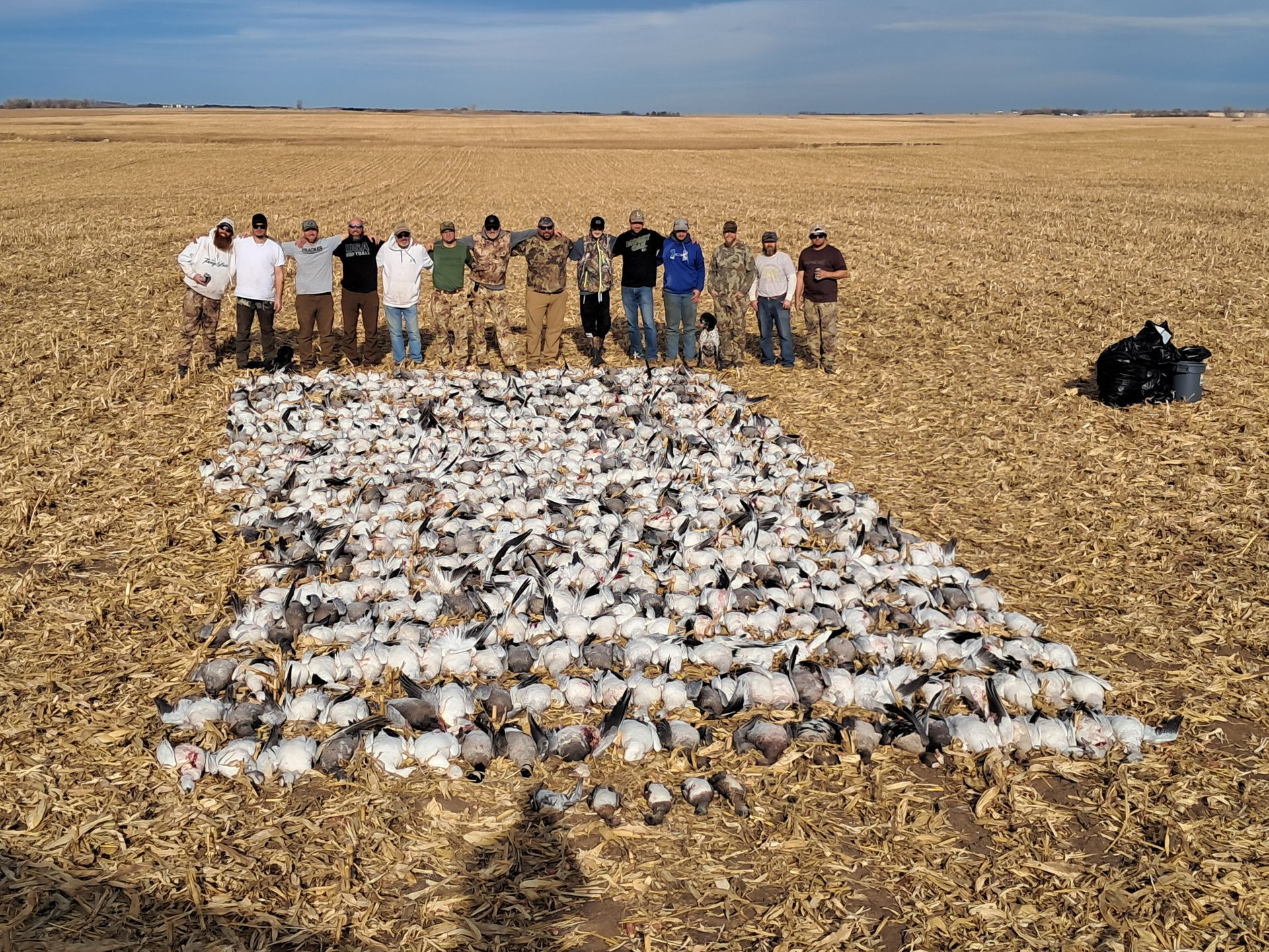 spring snow goose hunting guide North Dakota