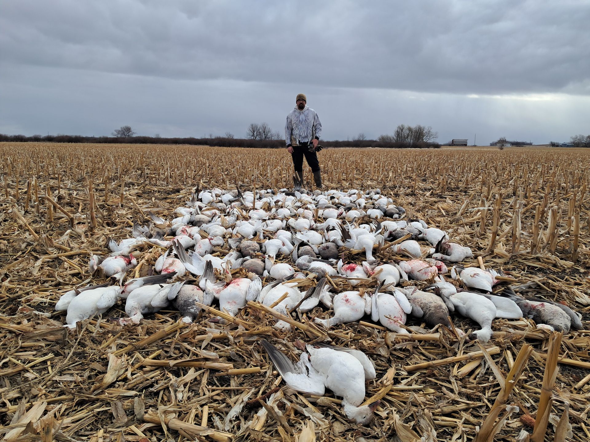 spring goose guide ND