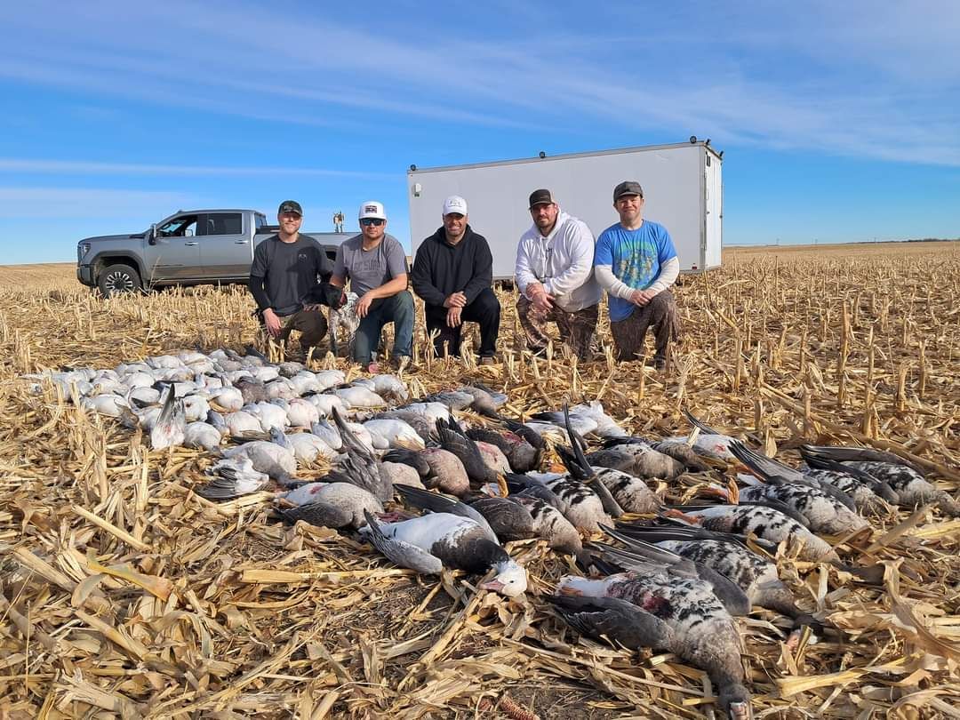 spring goose hunting