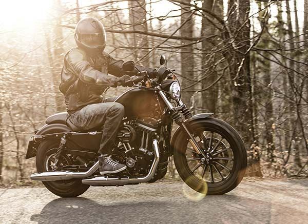 Motorcyclist rides a dark-colored motorcycle on a road through a forest; bright sunlight.