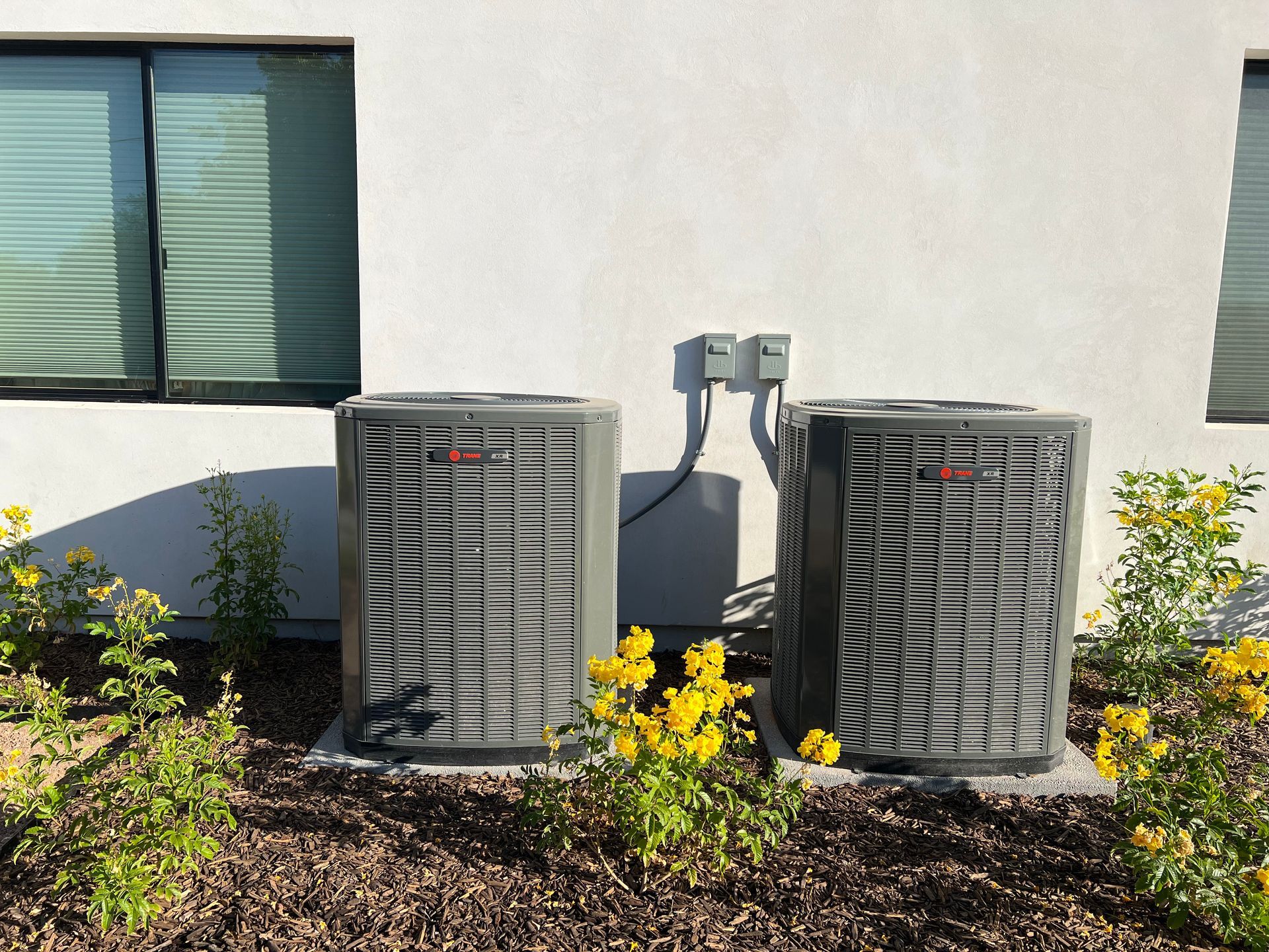Two outdoor air conditioning units beside a house wall, surrounded by yellow flowers and shrubs.