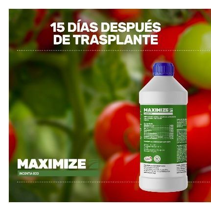 Fertilizantes