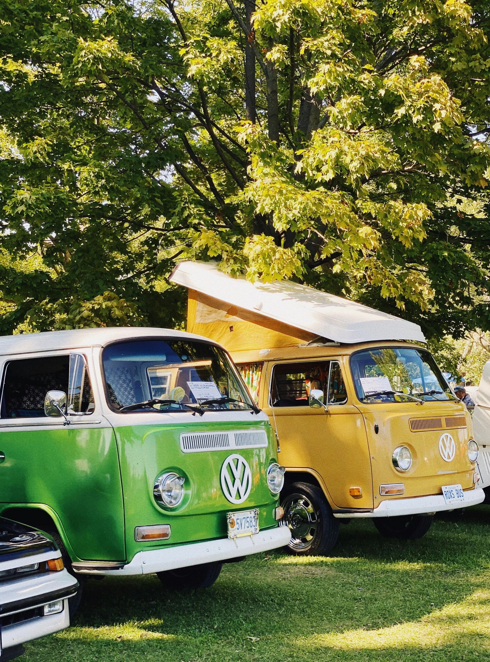 A green and yellow van are parked next to each other in a grassy field.