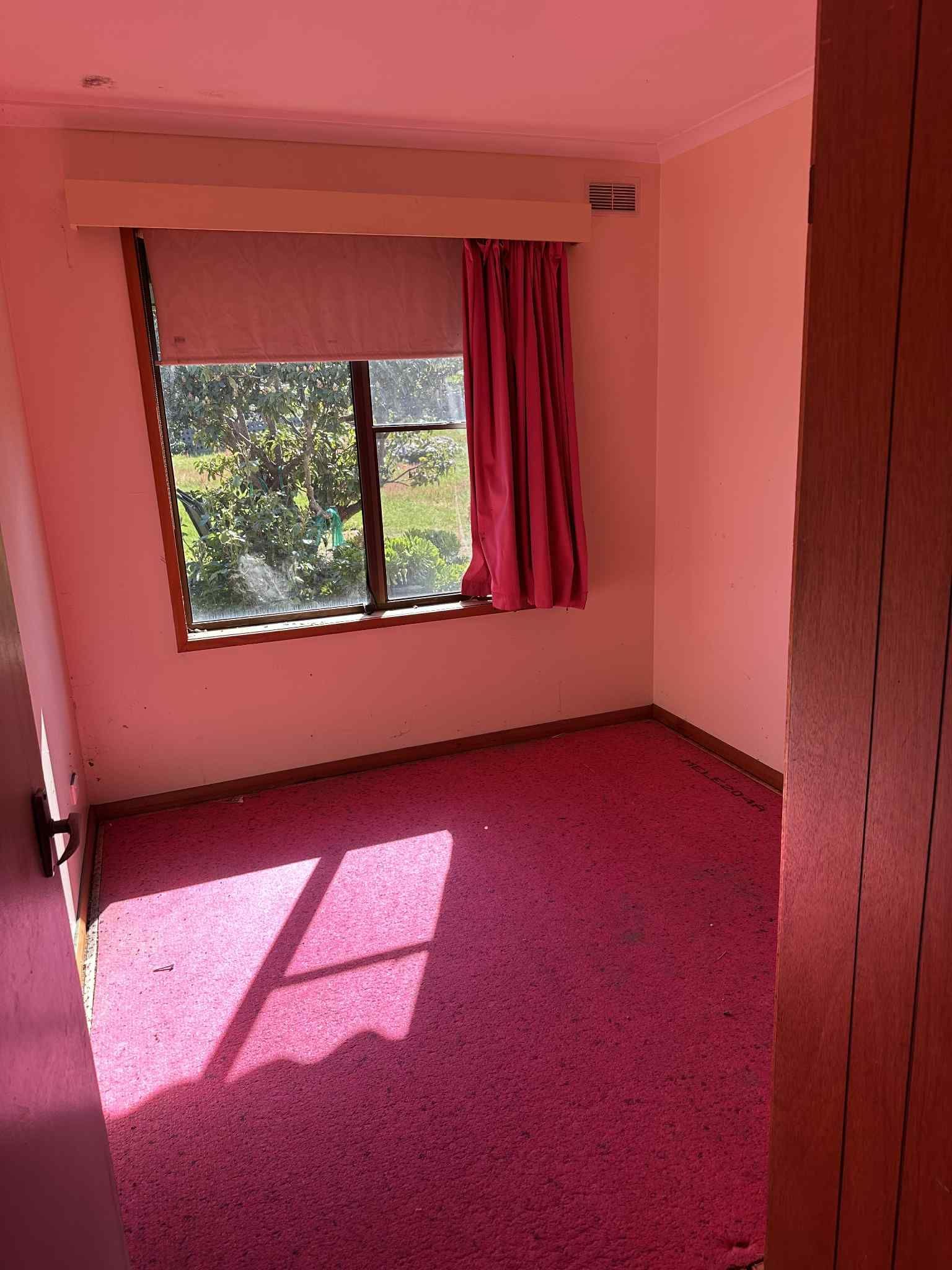 An empty bedroom with pink walls and bright pink carpet, featuring a window with a pink curtain and a roller blind.