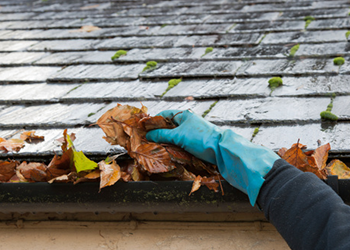 Leaves in Gutter — Gutter Cleaning services in Potomac, IL