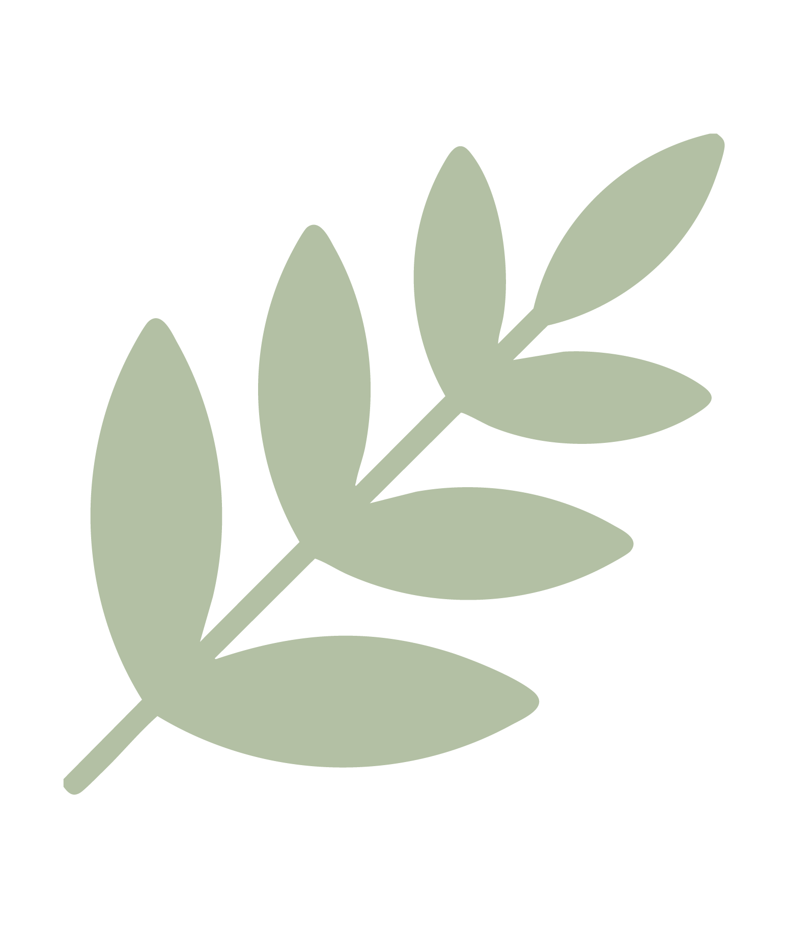 A green leaf with many leaves on a white background.