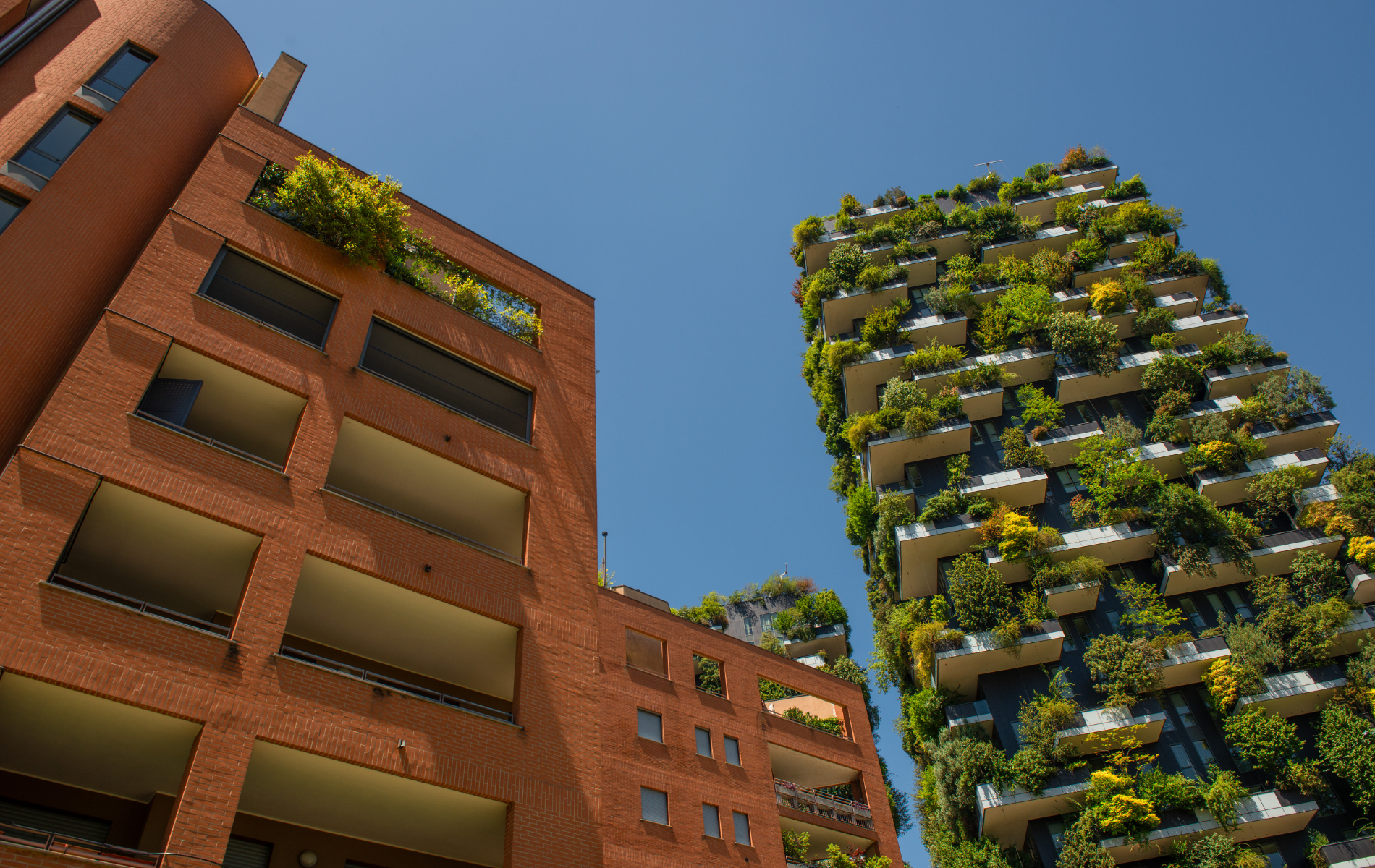 Brick building and skyscraper covered in plants against a clear blue sky.