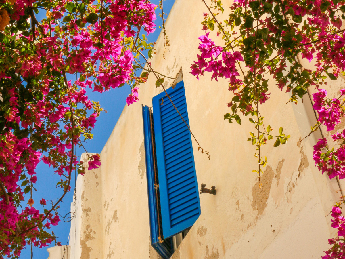 Bright pink bougainvillea frames a blue shuttered window on a sunlit, cream-colored wall against a blue sky.