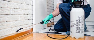 Pest Removal — Indoor Pest Control in Olmsted Falls, OH