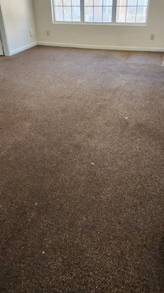 An empty living room with a brown carpet and a window.