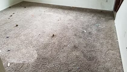 A room with a dirty carpet and a white wall.