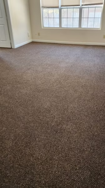 A living room with a brown carpet and a window.