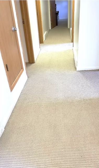 A hallway with a carpeted floor and a wooden door.