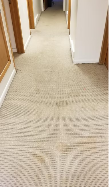 A hallway with a dirty carpet and a few doors.