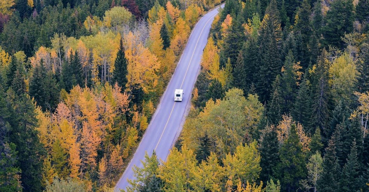 An aerial view of a car driving down a curvy road through a forest.