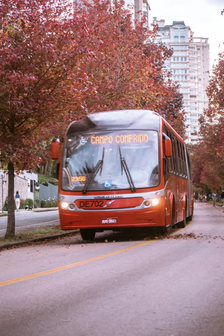carols-trips-image
