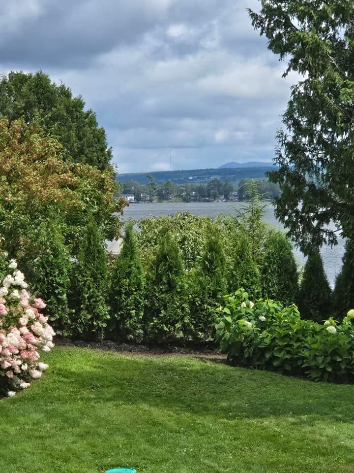 Pelouse verdoyante offrant une vue sur un lac et des collines au loin. Arbres et arbustes encadrent le paysage sous un ciel nuageux.