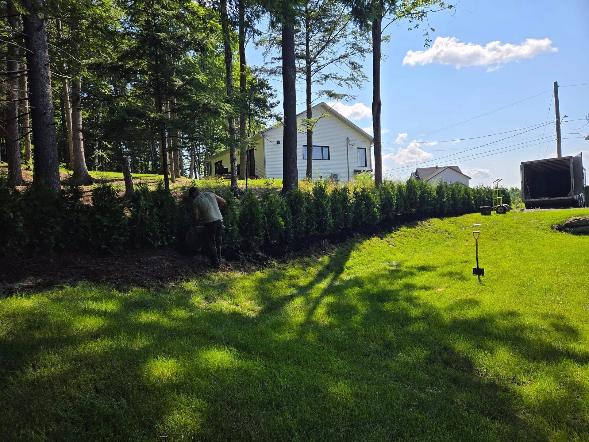 Une personne s'occupe d'arbustes à feuilles persistantes bordant un jardin ; arbres, maison et ciel lumineux en arrière-plan.