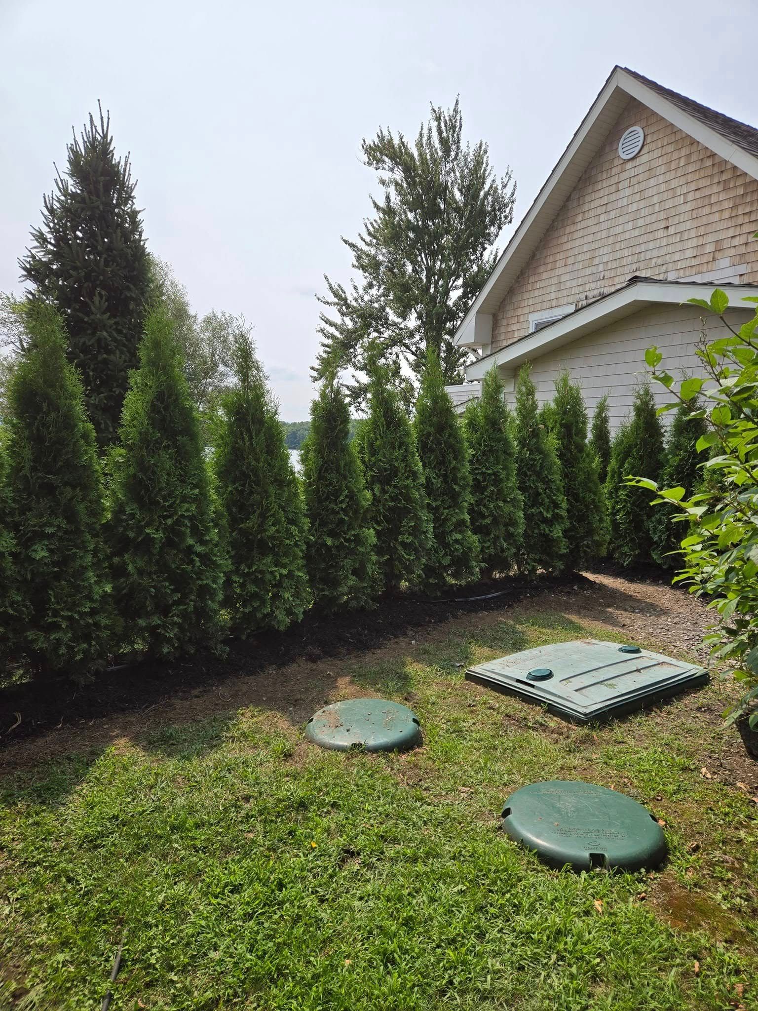 Une maison avec une fosse septique dans l'arrière-cour entourée d'arbres.