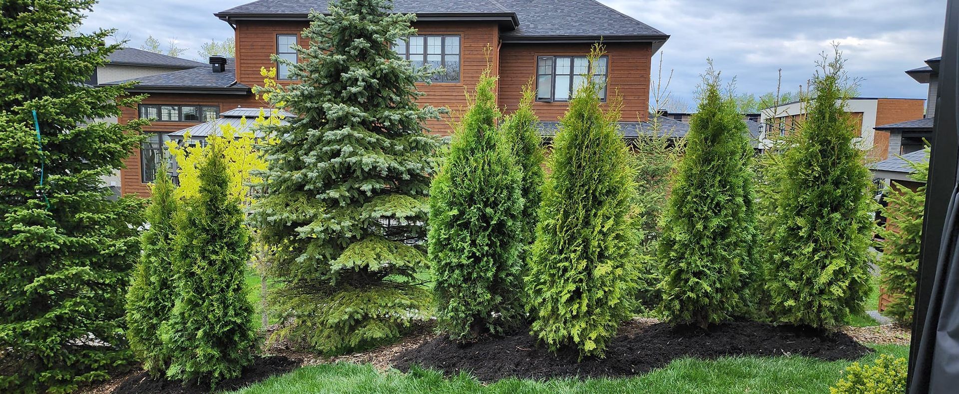 Des conifères bordent un parterre de jardin aménagé, devant une maison en briques au toit sombre.