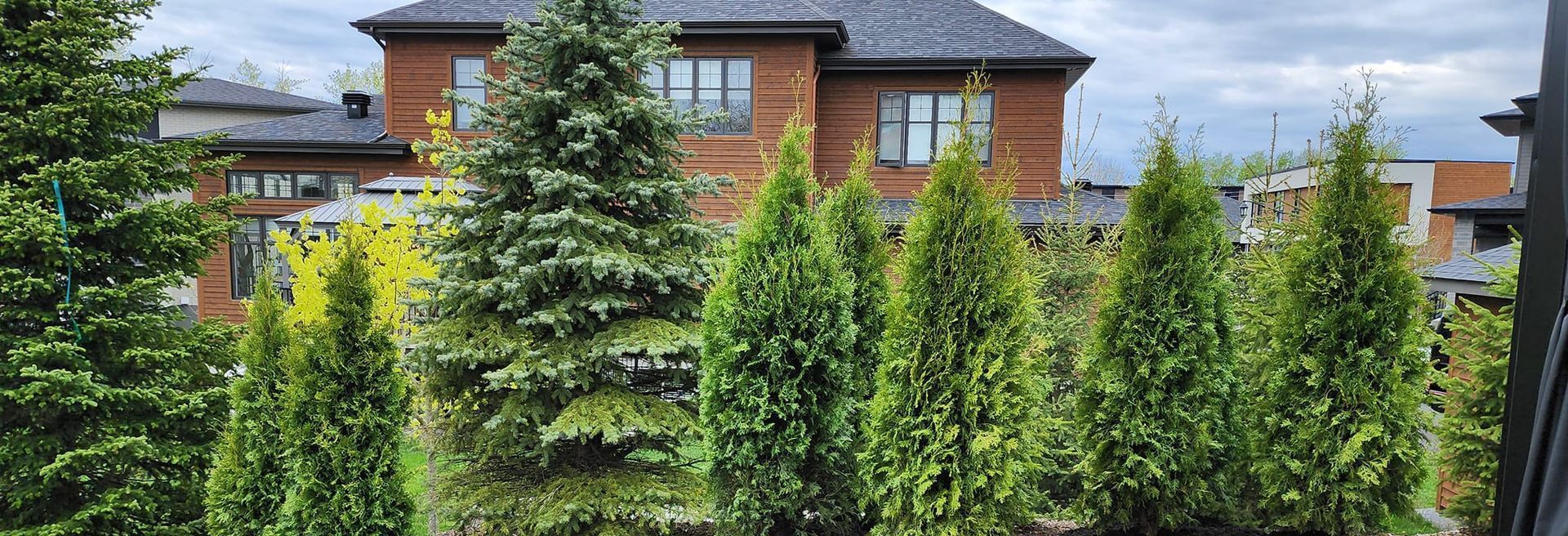 Des conifères devant un bâtiment en briques sous un ciel nuageux.