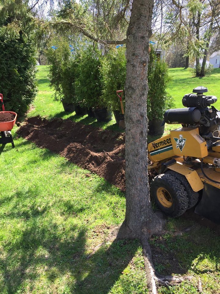 Un tracteur jaune est assis à côté d'un arbre dans une cour.