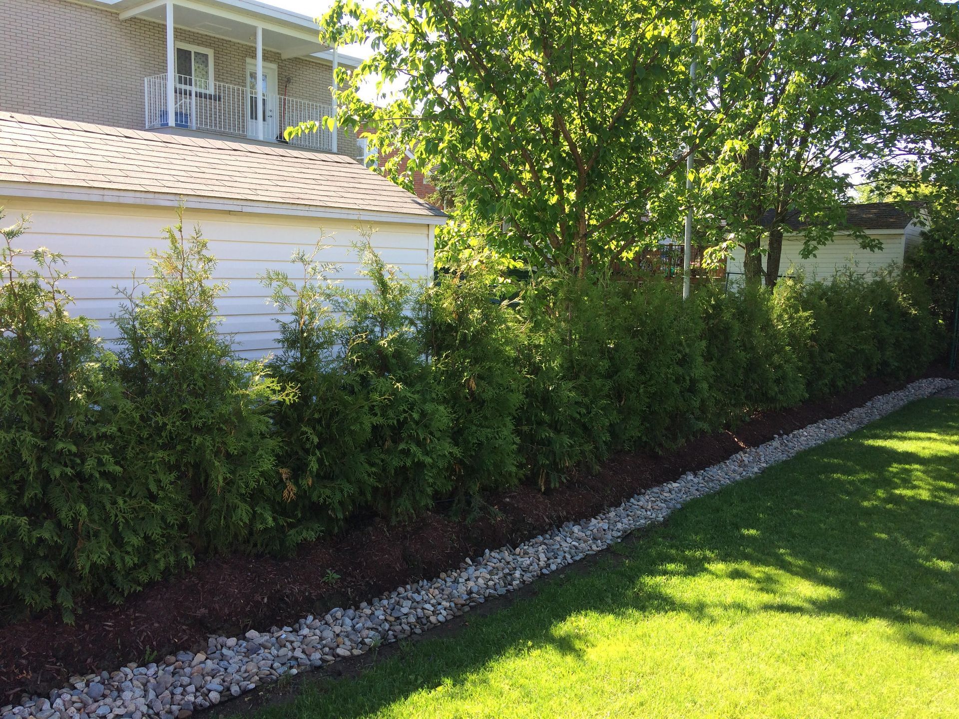 Des haies vertes bordent un parterre de gravier et de paillis, en bordure d'une pelouse jouxtant un bâtiment blanc.
