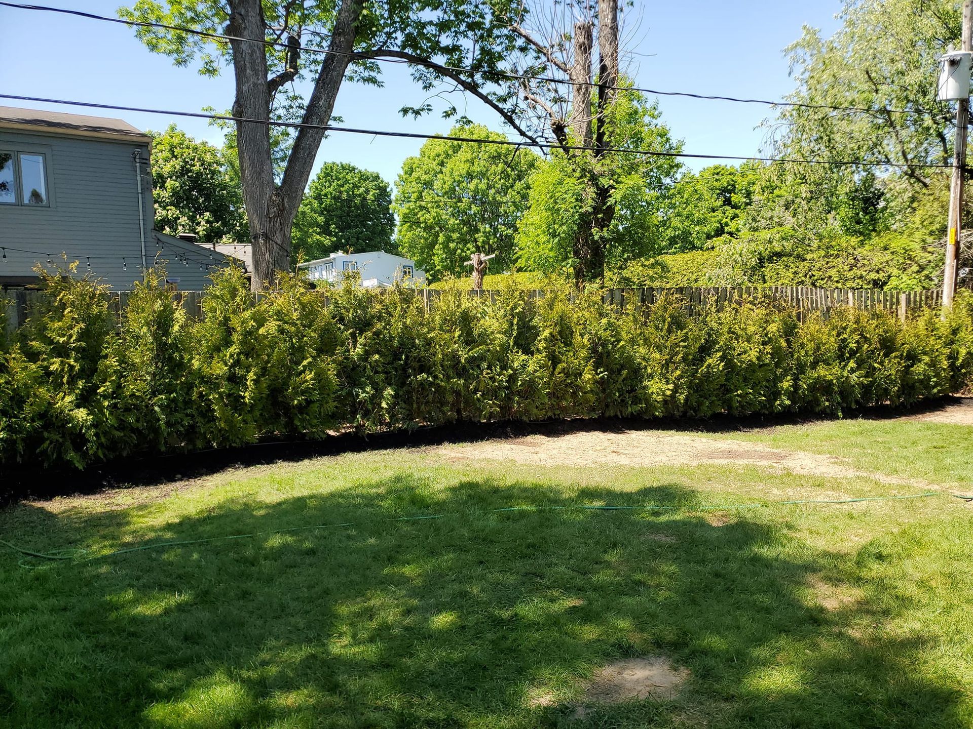 Une haie verte sépare le jardin, où l'herbe est verte, des arbres en arrière-plan.