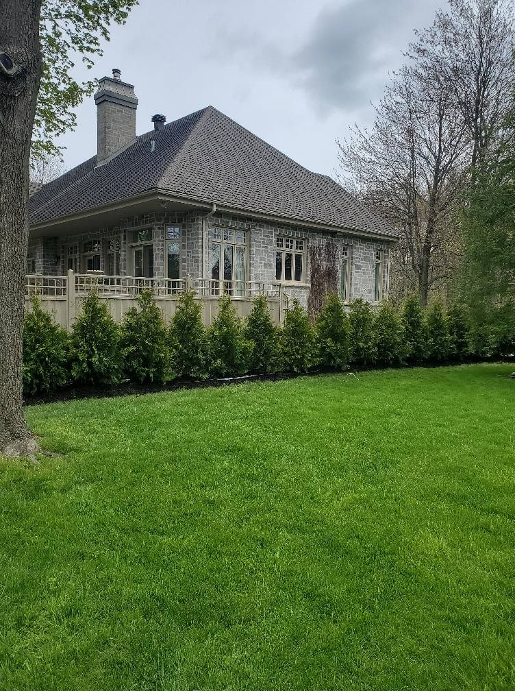 Une maison avec une grande pelouse devant elle