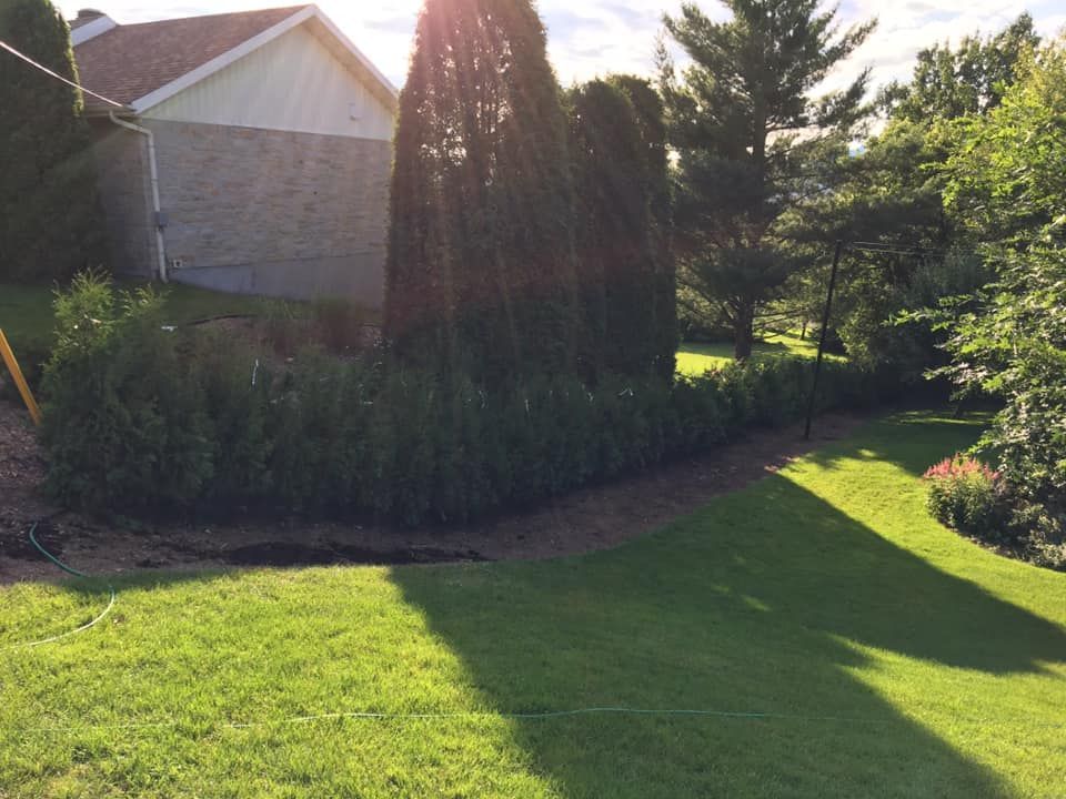 Une cour verdoyante avec une maison en arrière-plan