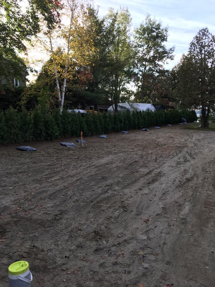 Un chemin de terre menant à une maison avec des arbres en arrière-plan.