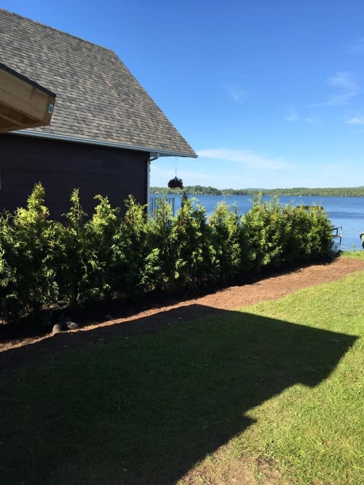 Une maison sombre au toit de bardeaux, adossée à une haie, surplombe un lac bleu sous un ciel ensoleillé.