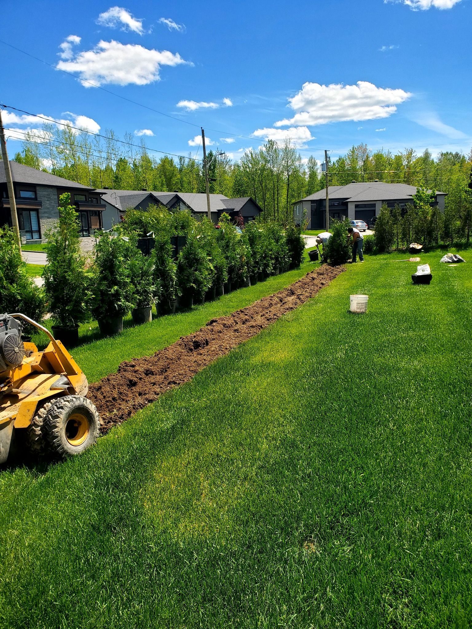 Un tracteur jaune est assis au milieu d'un champ vert luxuriant.