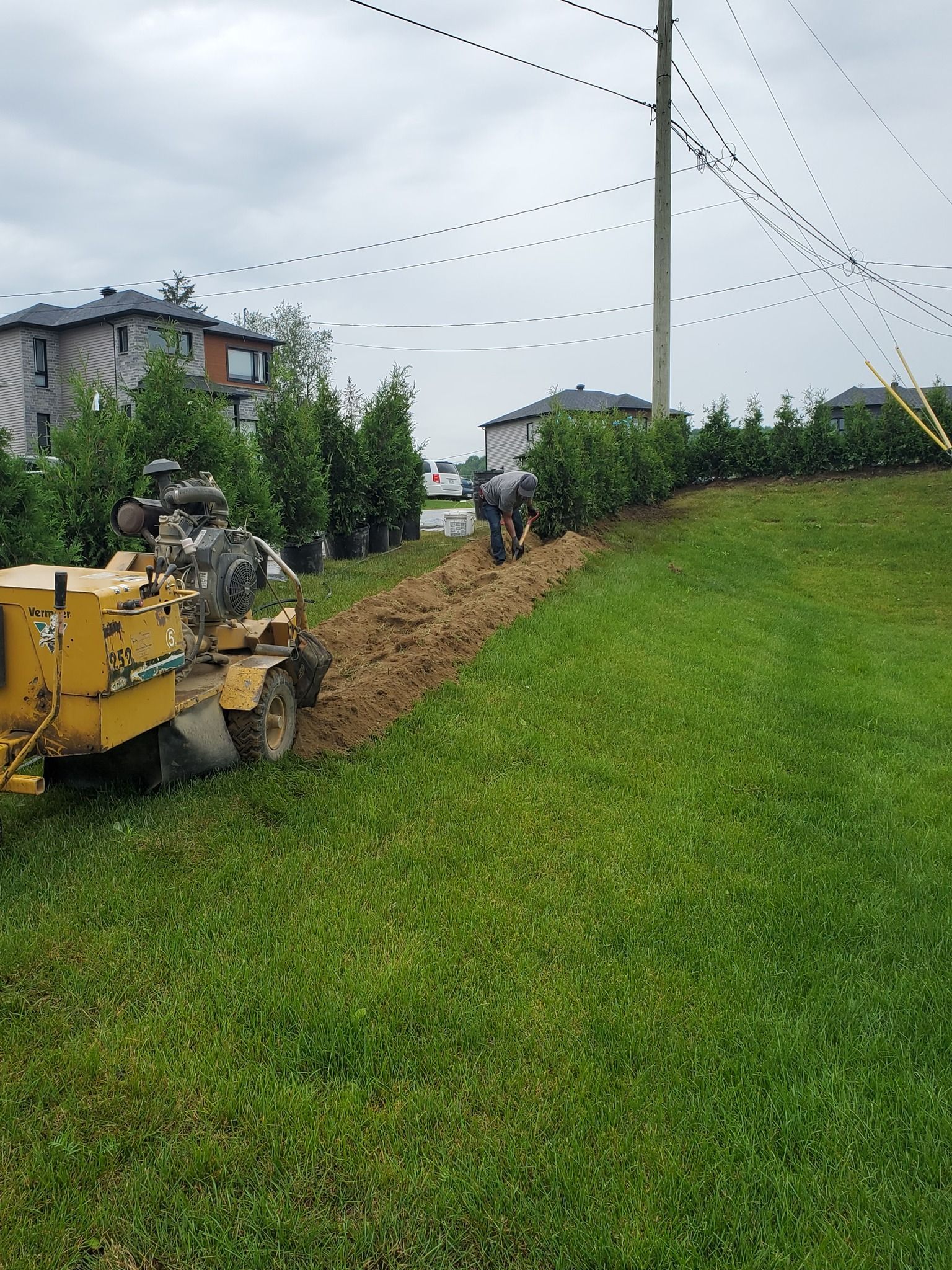 Un tracteur jaune creuse un trou dans l'herbe.