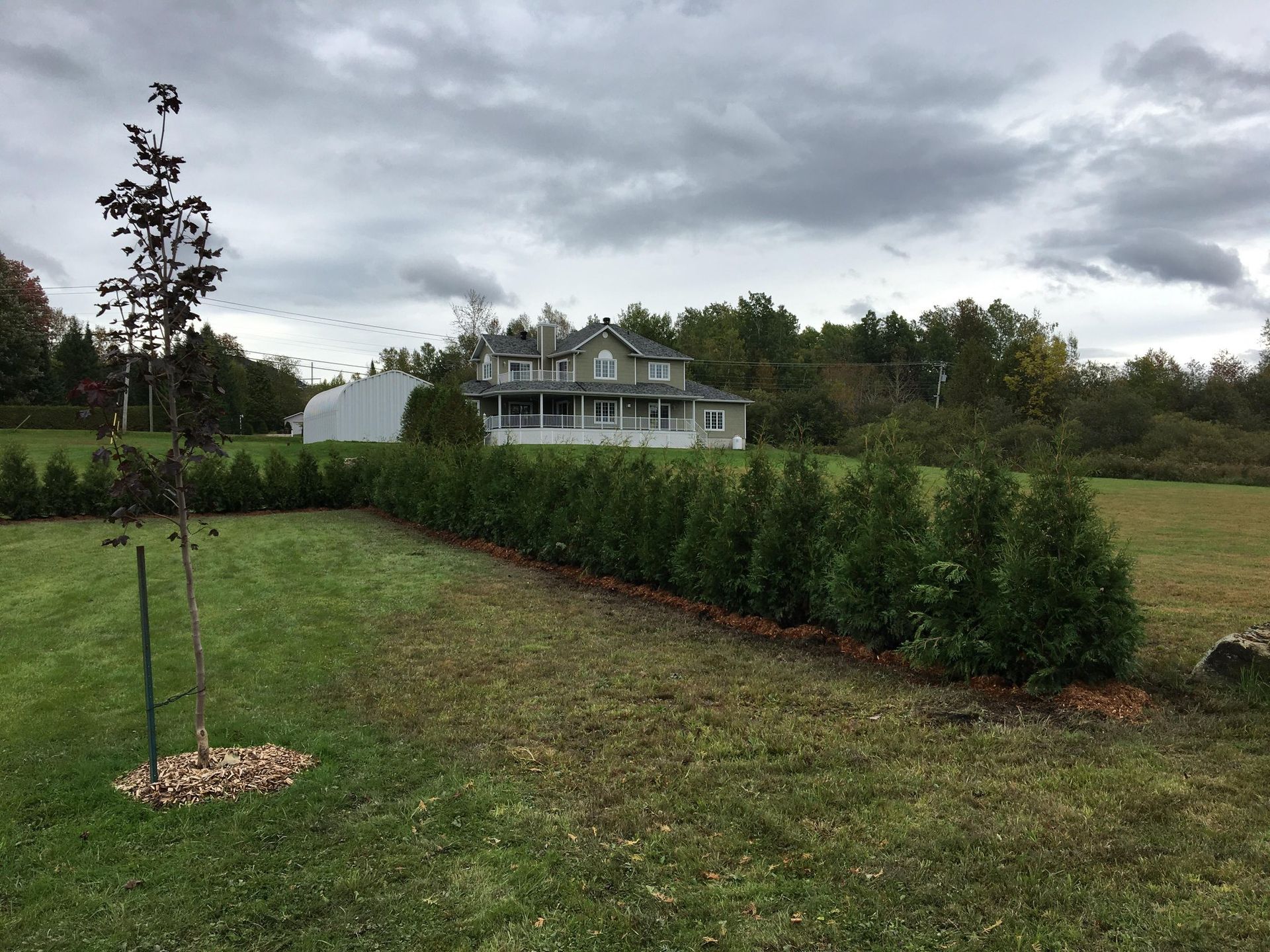 Une maison se trouve derrière une rangée d'arbres dans un champ.